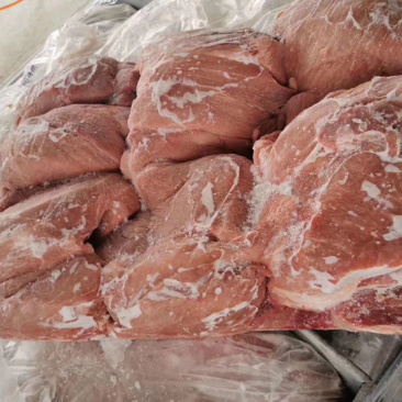 进口猪四号肉大板