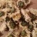 黄山贡菊另有七月菊假一罚十