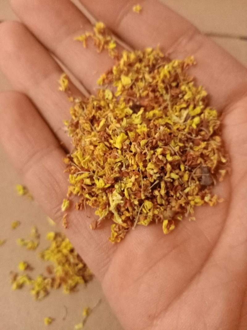 桂花各种规格香味十足桂花干1斤包邮