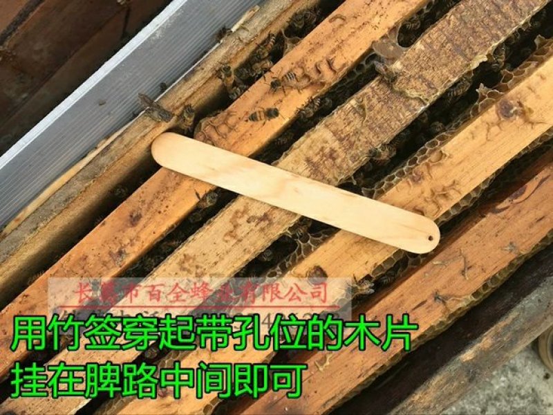【10片装】巢虫清木片巢虫净巢虫清挂片蜜蜂蜂箱白头蛹绵虫