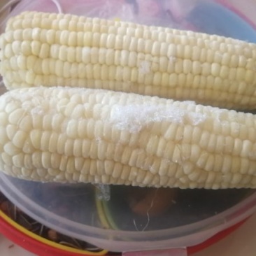 万糯速冻玉米棒
