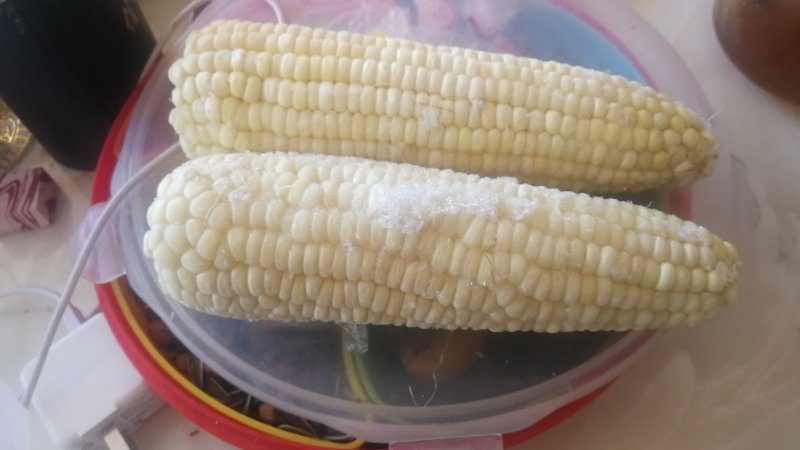 万糯速冻玉米棒