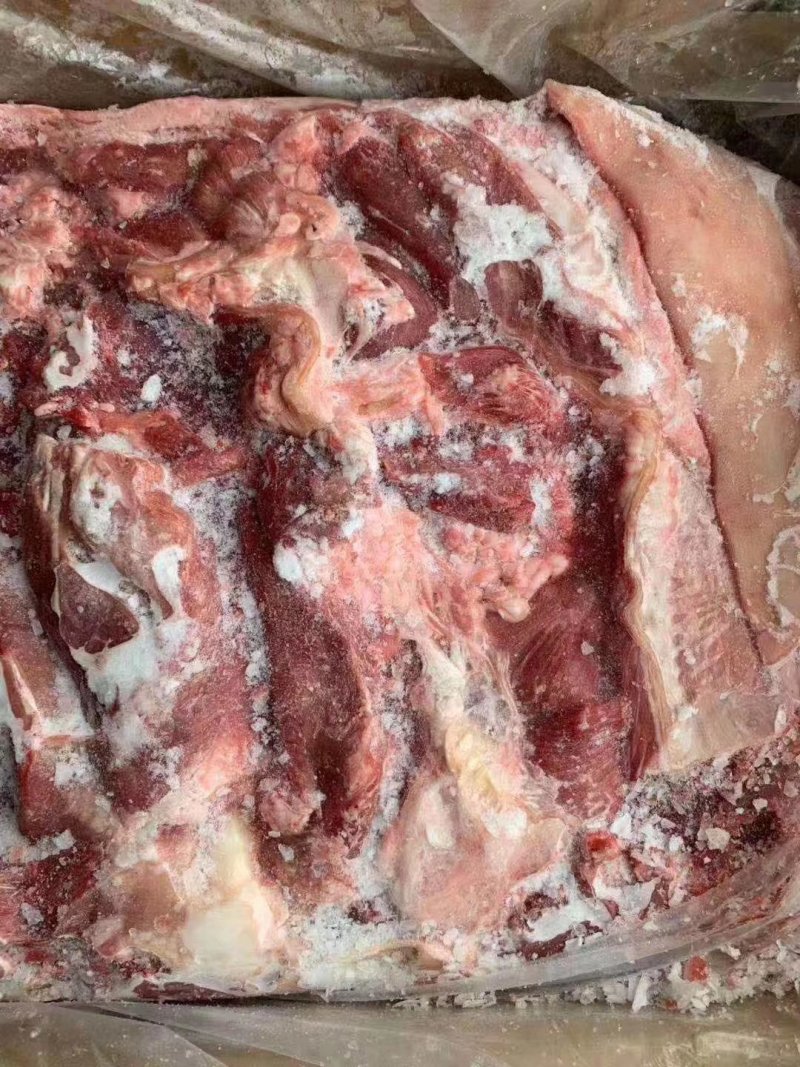 羊脖肉，本店新到羔羊脖肉，烧烤小炒，穿串等适合各种用途