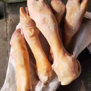 火烧牛蹄，质量好，一手货源有许要的联系，看质量