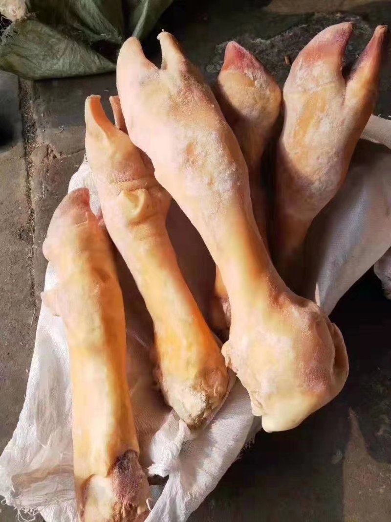 火烧牛蹄，质量好，一手货源有许要的联系，看质量