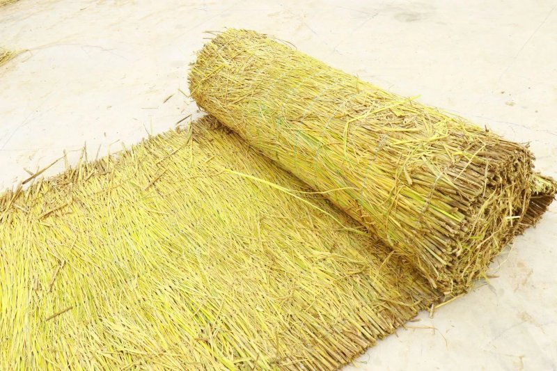 合作社常年销售批发草苫子