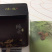 正宗新会东甲村陈皮丝，香甜润滑，泡茶煮菜，煲粥，熬汤佳品