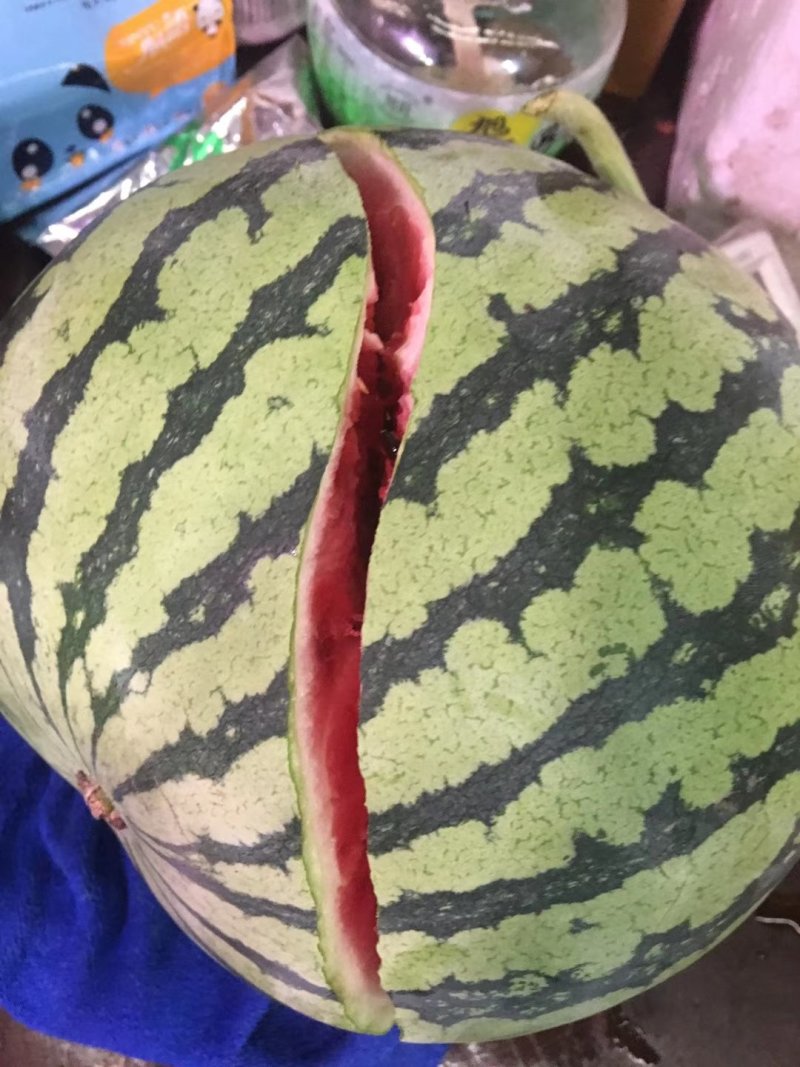 山东潍坊甜王西瓜大红瓤黑籽皮薄一手货源，