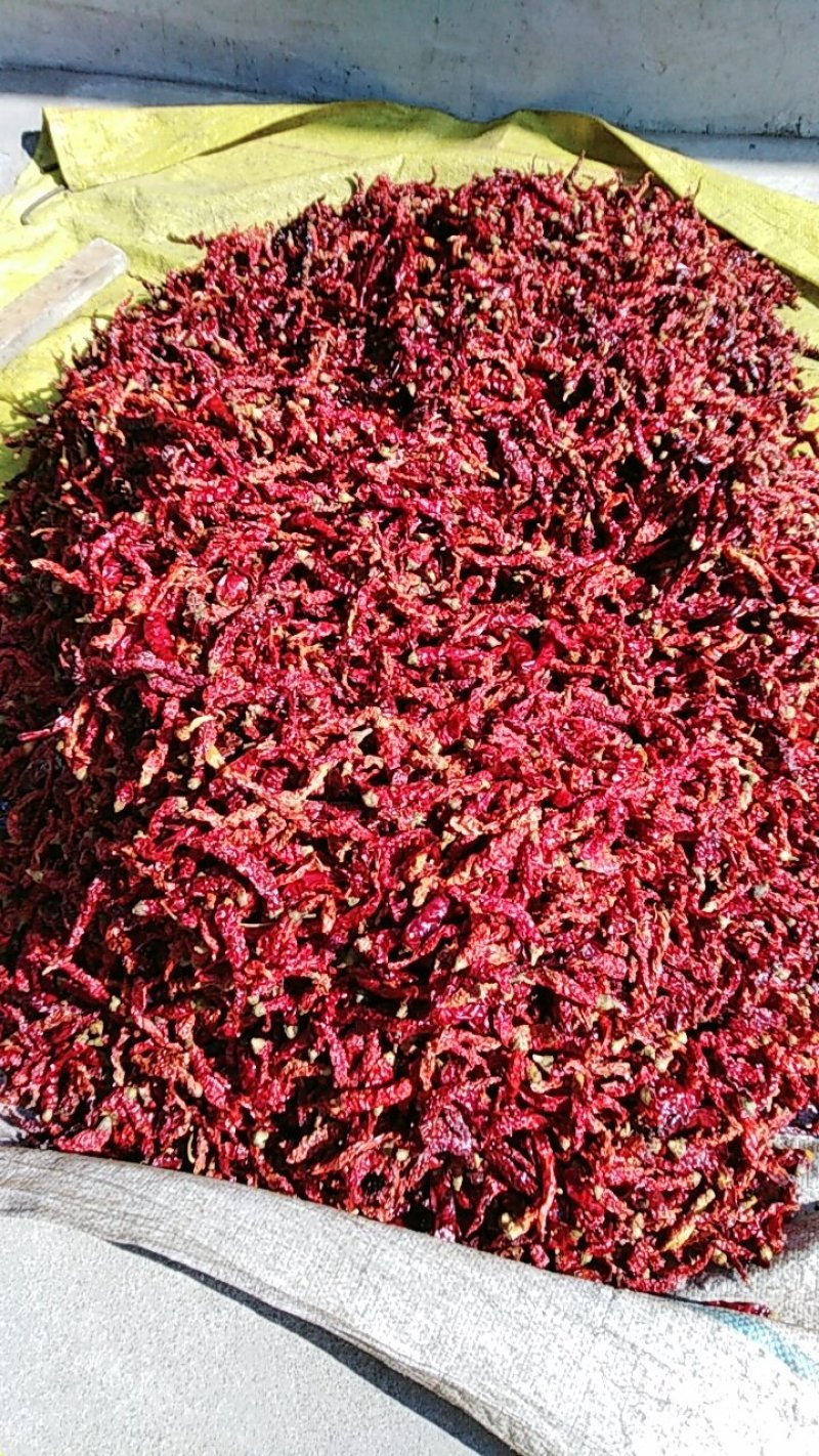 辣椒面，秦椒，油泼辣子，凉菜专用