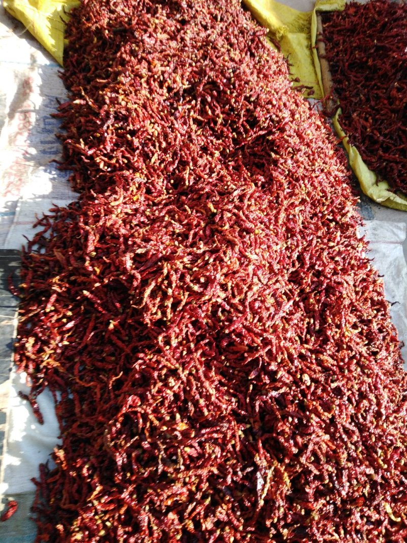 辣椒面，秦椒，油泼辣子，凉菜专用