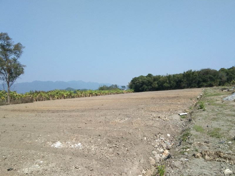 合作生态农庄(立体形)合种植放养(鸡鱼)