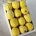 星甜20香瓜，大量上市，产地直销，潍坊青州。