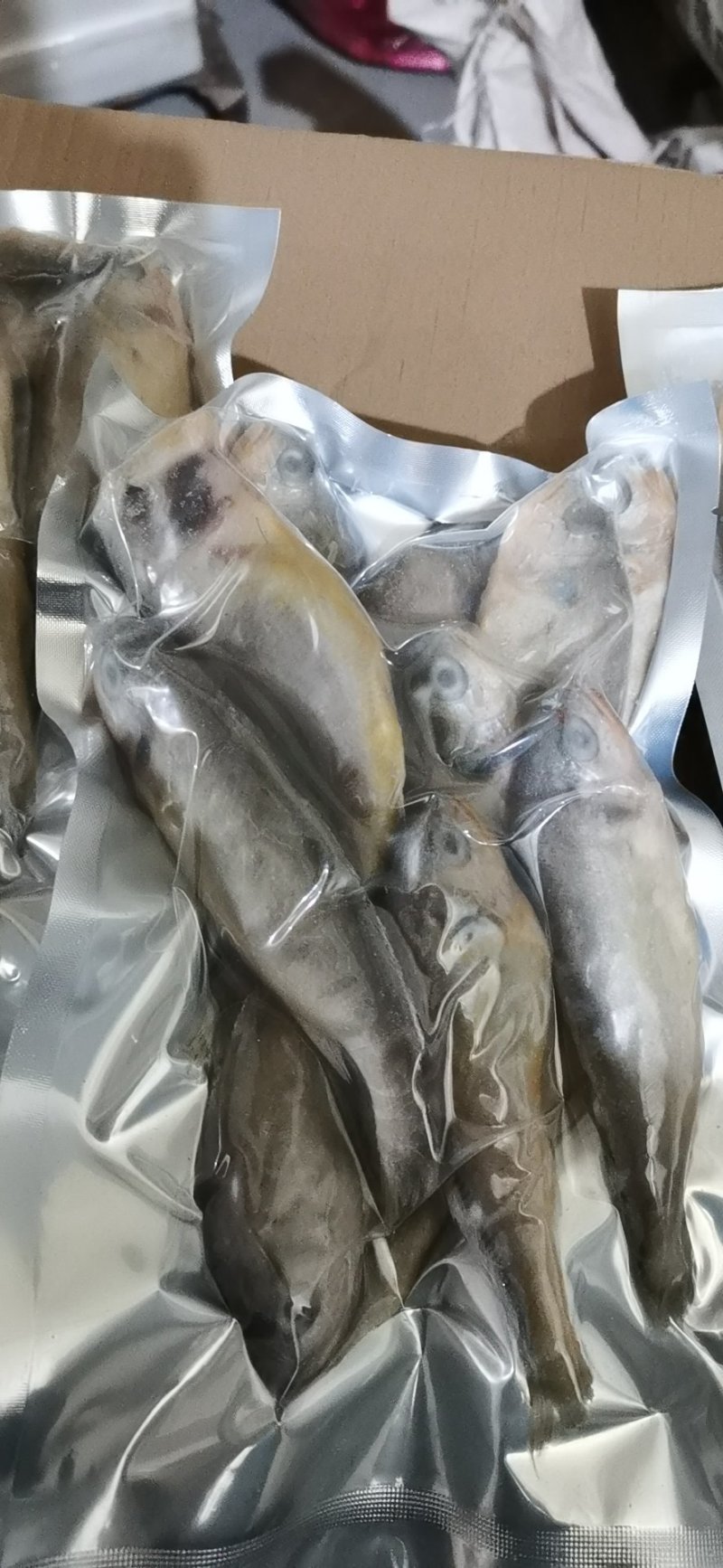 小黄鱼鲜活速冻小黄鱼黄花鱼清蒸红烧烧烤