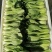 山东曹县油菜快菜大量上市