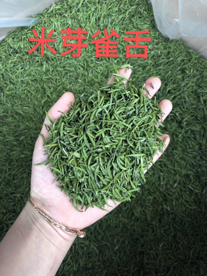 新茶明前绿茶梨香雀舌竹叶青大量有货