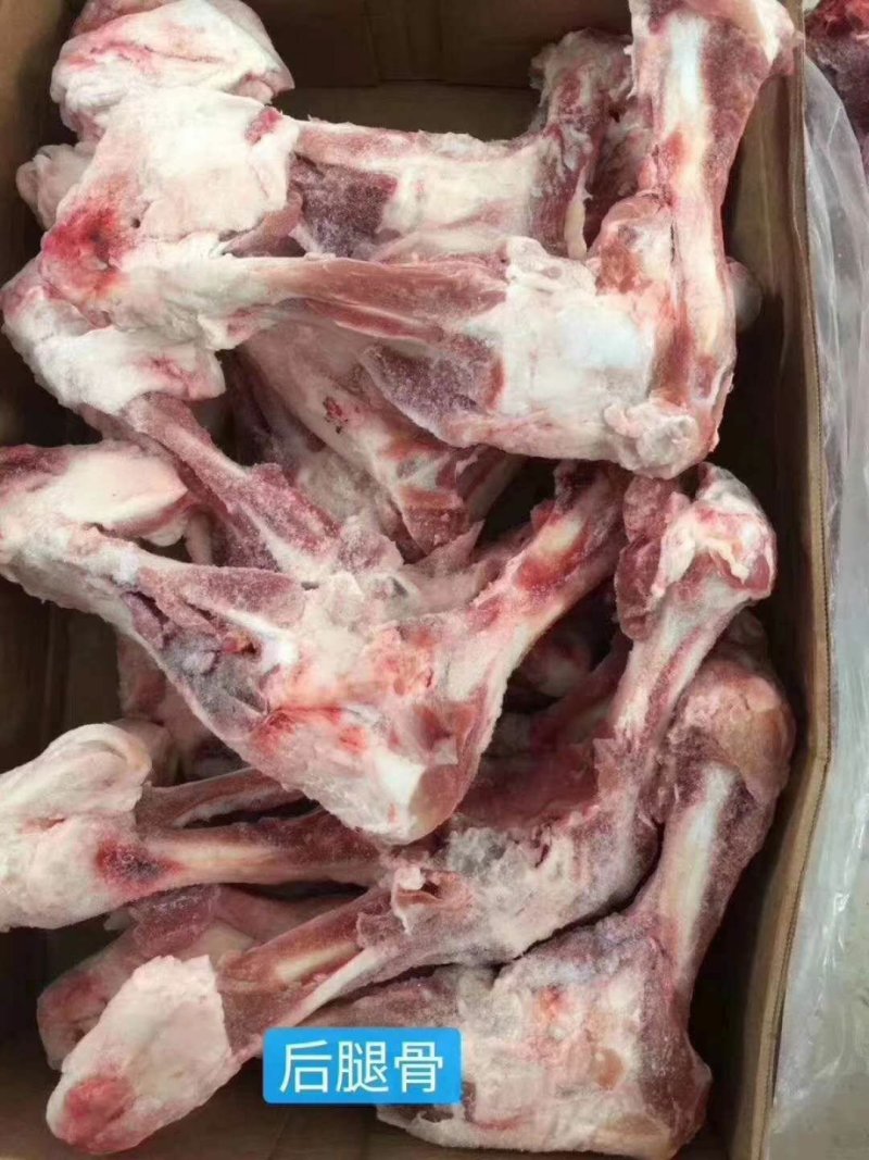 【有好货】带肉后腿骨，猪腿骨，大骨头，棒骨，纯干。
