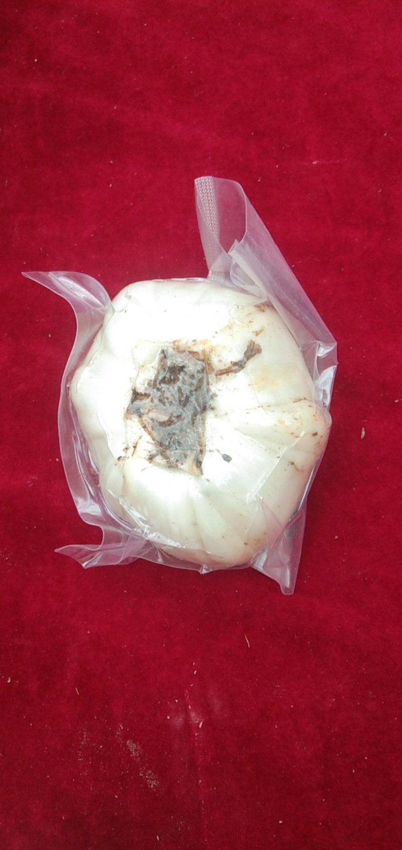 透明真空包装十二头，十头，八头，六头，四头，两头，