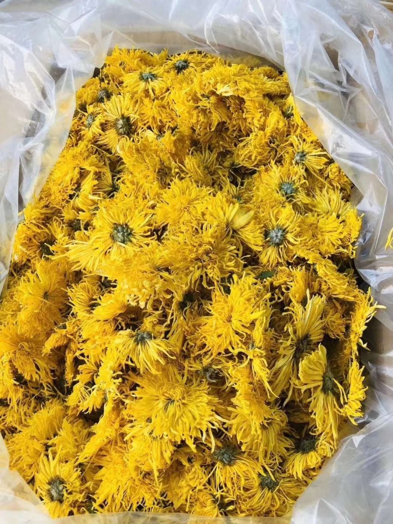 【金丝黄菊茶】西藏产地直供质量保证一手货源价格美丽