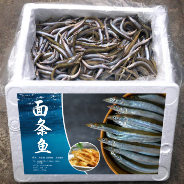 面条鱼、银针鱼、玉筋鱼招城市代理商、食堂、餐饮