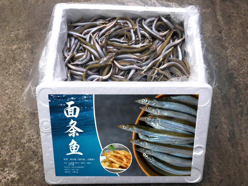 面条鱼、银针鱼、玉筋鱼招城市代理商、食堂、餐饮