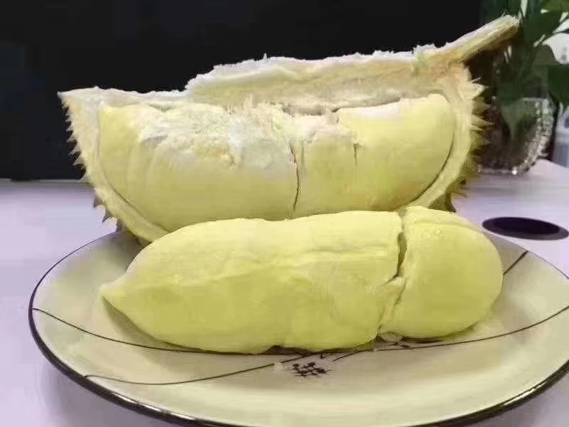 榴莲苗