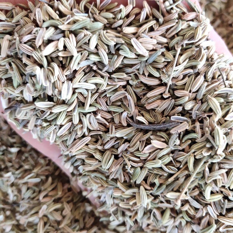 小茴香新货青绿色过筛关书药业批发中药材