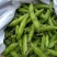 大白胡豆大量上市中