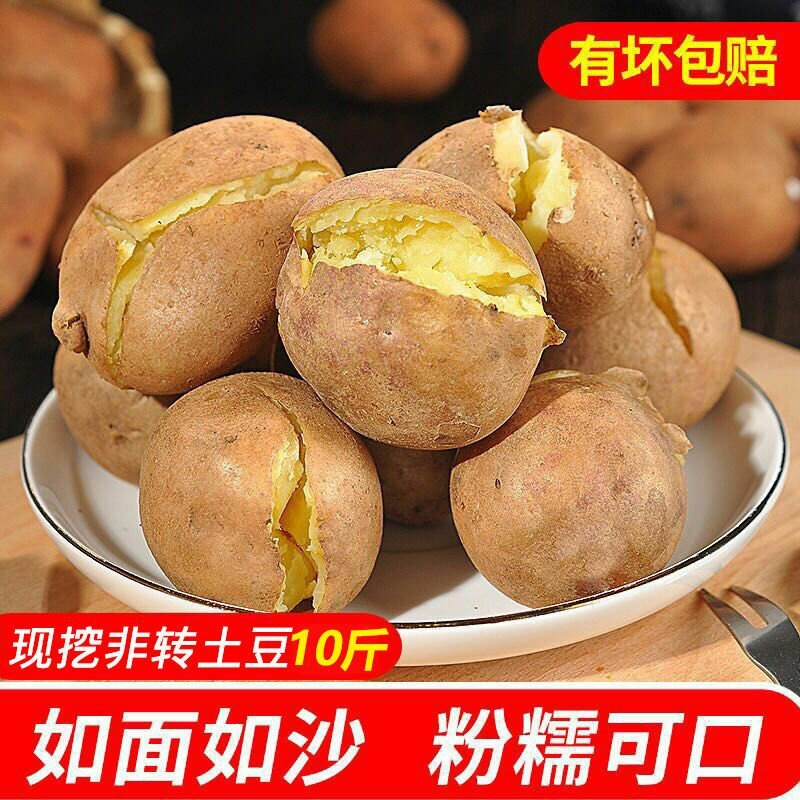 云南红皮黄皮小土豆新鲜现货5斤9斤当季蔬菜洋芋包邮