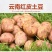 云南红皮黄皮小土豆新鲜现货5斤9斤当季蔬菜洋芋包邮