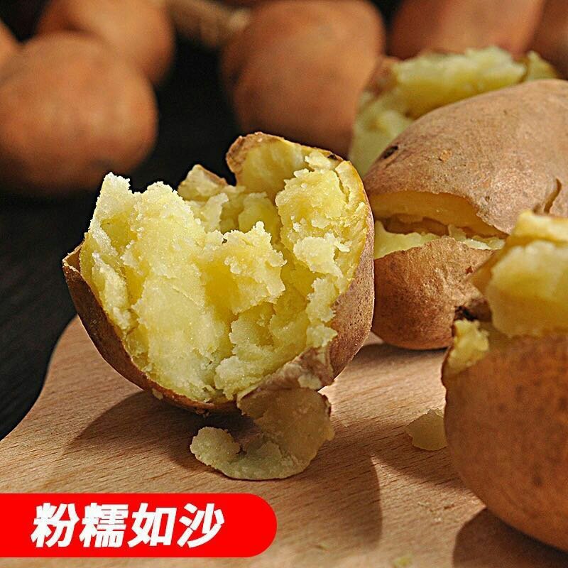 云南红皮黄皮小土豆新鲜现货5斤9斤当季蔬菜洋芋包邮