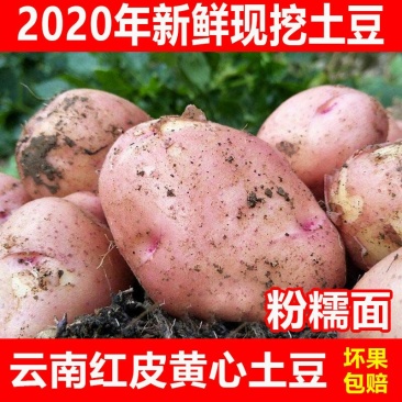 云南红皮黄皮小土豆新鲜现货5斤9斤当季蔬菜洋芋包邮