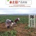 云南红皮黄皮小土豆新鲜现货5斤9斤当季蔬菜洋芋包邮