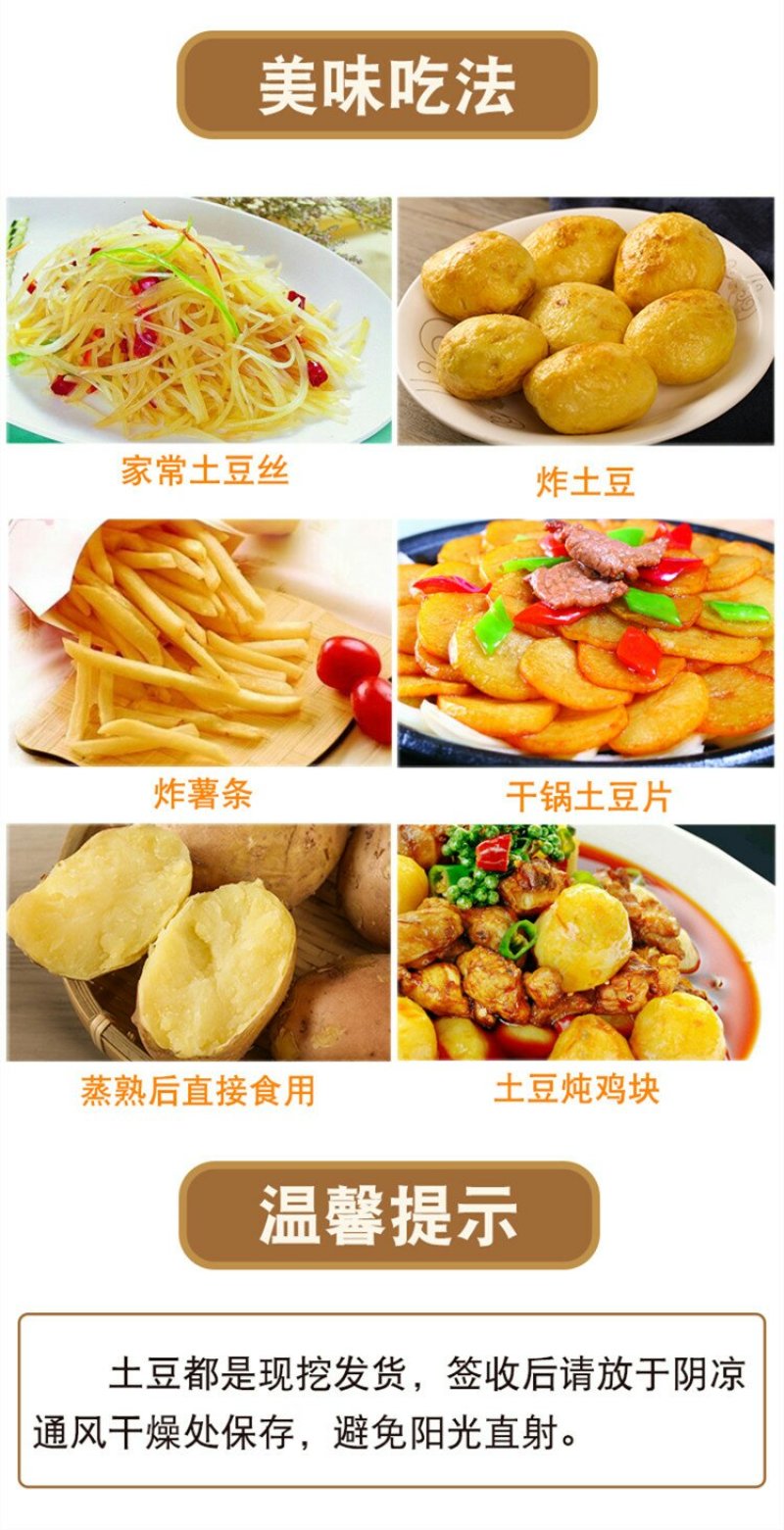 云南红皮黄皮小土豆新鲜现货5斤9斤当季蔬菜洋芋包邮