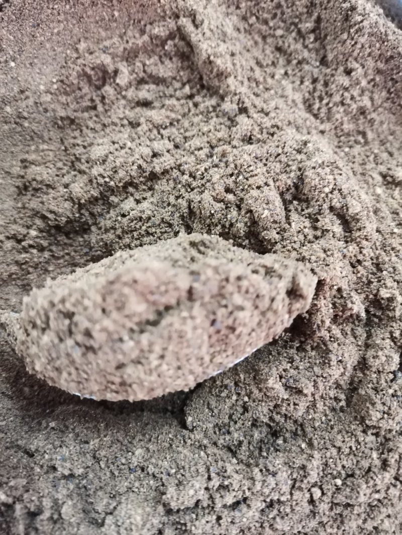 陈皮粉二十年老陈皮粉陈香味十足