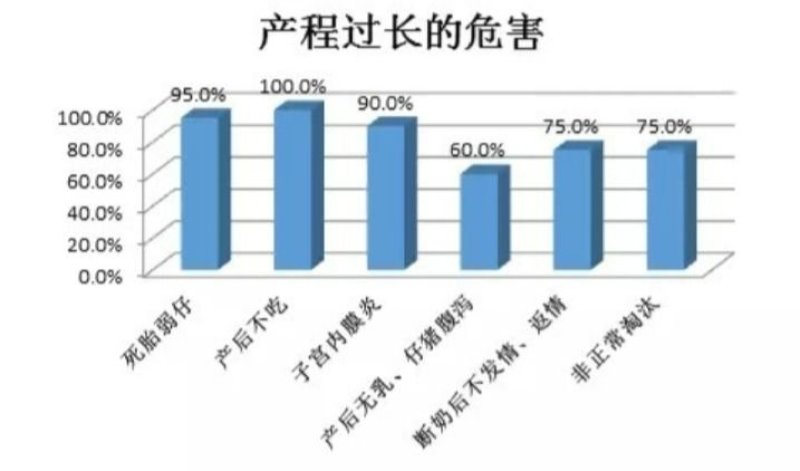 母猪难产憋死小猪怎么办？2-3小时下完