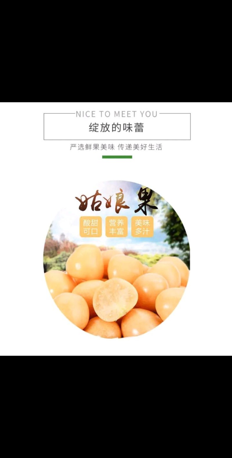 灯笼果精品丹东灯笼果菇娘果甜姑娘万亩基地大量上市