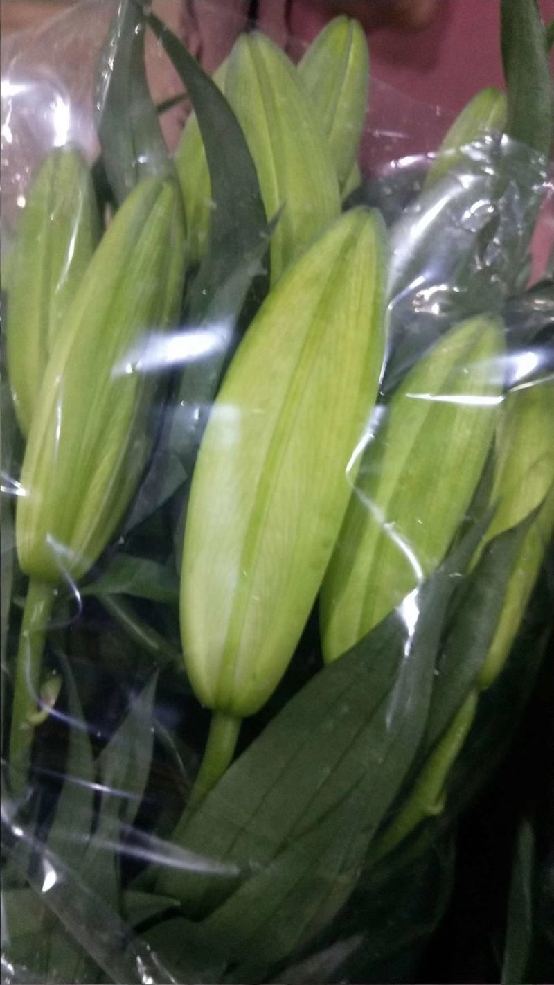 百合鲜切花家庭用花香水百合西伯利亚黄天霸罗宾娜黑美人批发
