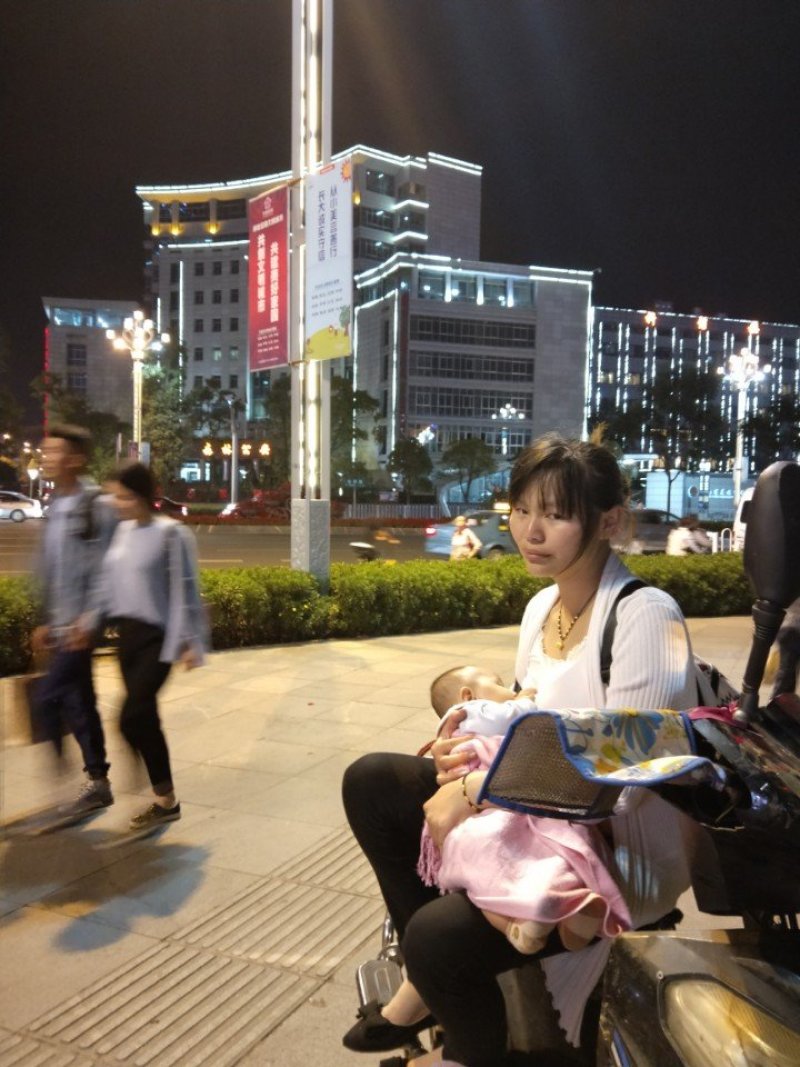 百合鲜切花家庭用花香水百合西伯利亚黄天霸罗宾娜黑美人批发
