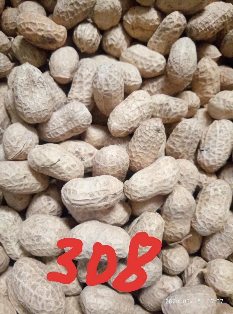 308花生，精选颗粒饱满，口感香，出油高！