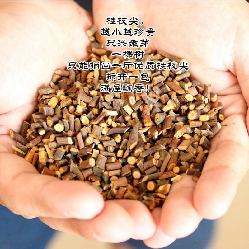 【桂枝尖】中药材无硫桂枝尖肉桂树桂枝尖手选货嫩桂枝尖包邮