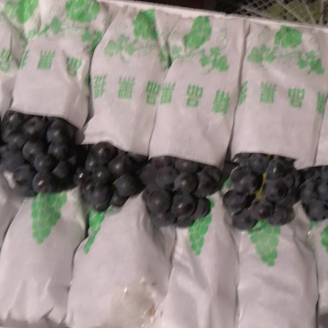 黑提