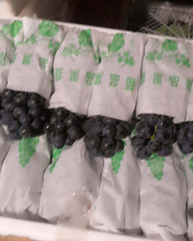 黑提