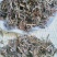 花苜蓿,道地药材,质优价实,品质保证,药典标准一公斤起批