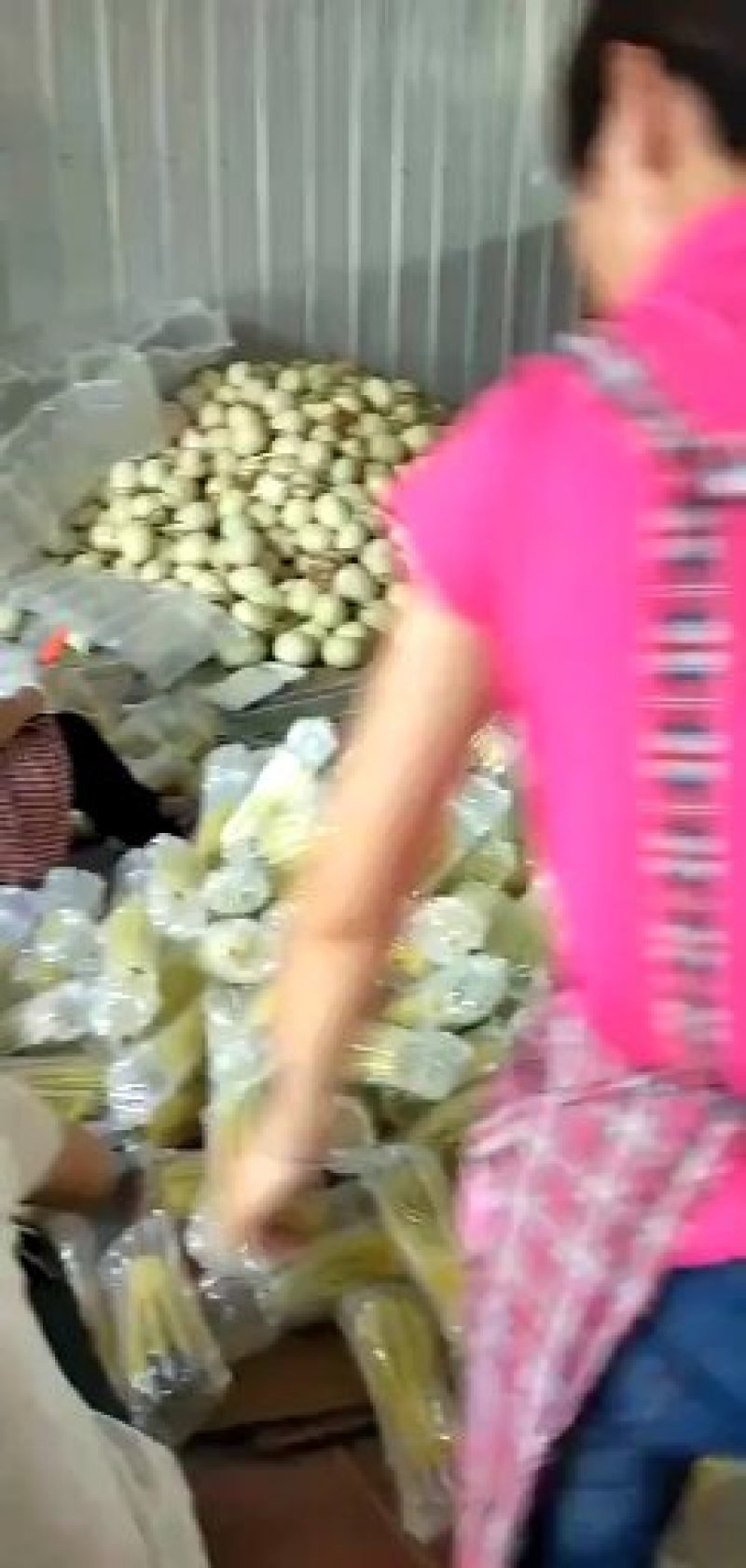 羊角蜜，产地大量低价供货，100多个品种，长期供应各个批