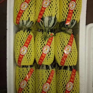羊角蜜，产地大量低价供货，100多个品种，长期供应各个批