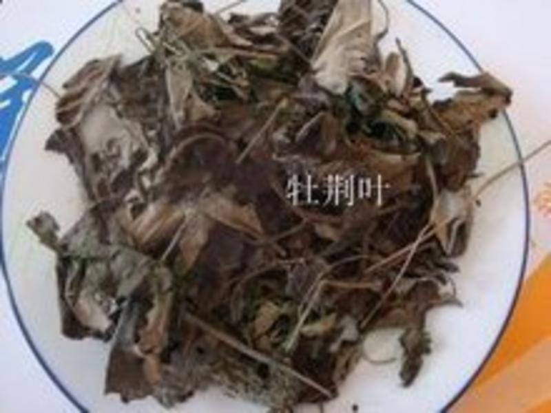 牡荆叶，常年批发供应冷背中药材，牡荆叶