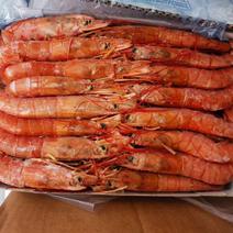 阿根廷红虾L1L2低价便宜