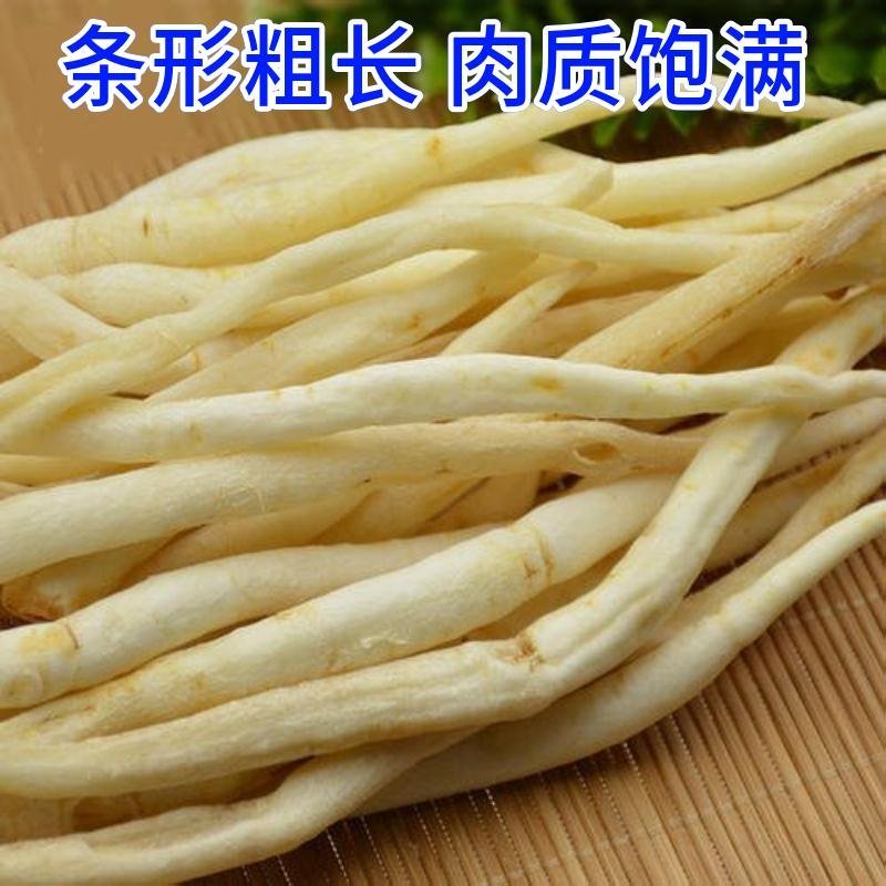 四川川明参，明沙参，沙参自家种植支持视频看货
