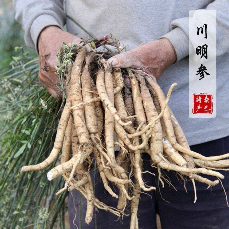 四川川明参，明沙参，沙参自家种植支持视频看货
