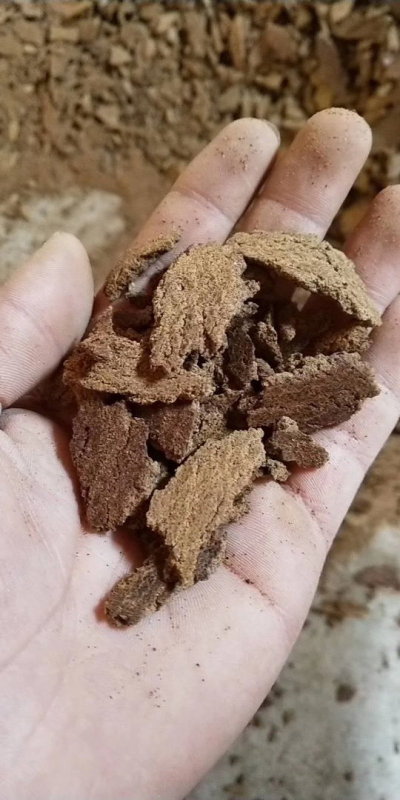 厂家直销棉饼，棉籽饼，牛羊育肥饲料全国发货，欢迎选购。